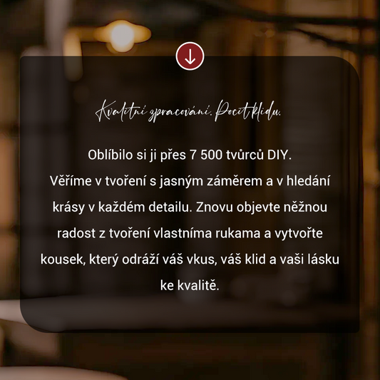 ✨Predčasný vianočný predaj✨ Model bicykla DIY🔥