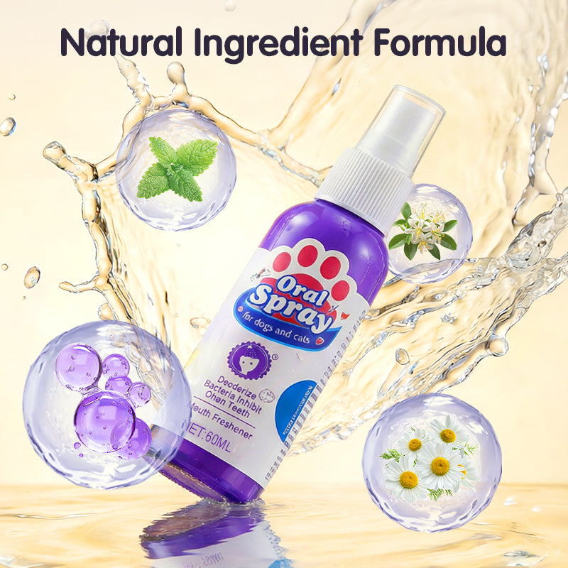 🔥2026 Nové produkty: 🔥Čistiaci sprej na zuby pre domáce zvieratá